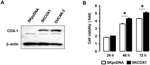 J Cancer Image