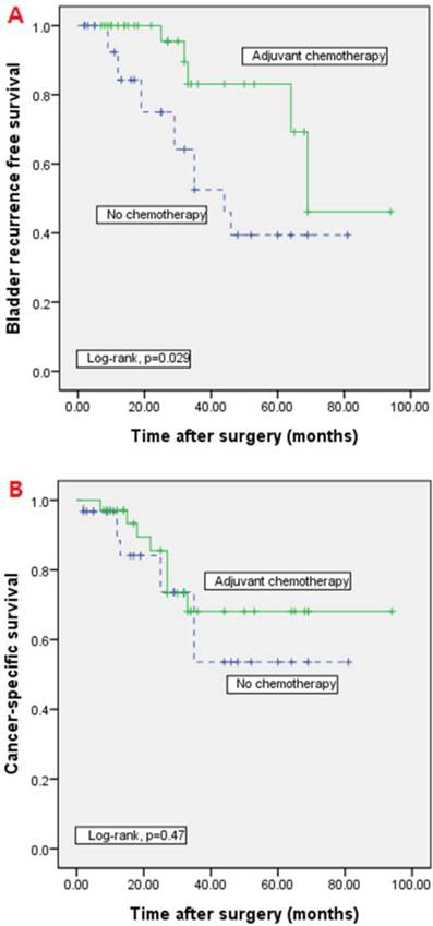 J Cancer Image