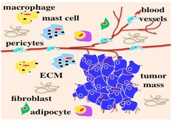 J Cancer Image