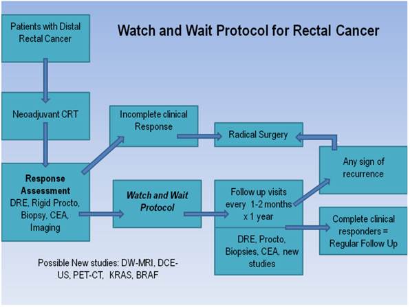 J Cancer Image