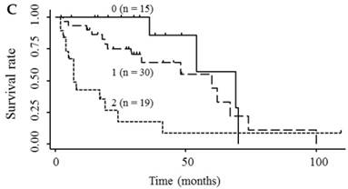 J Cancer Image