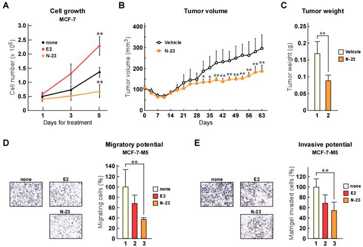 J Cancer Image