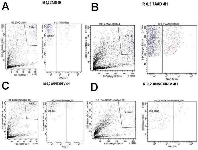 J Cancer Image