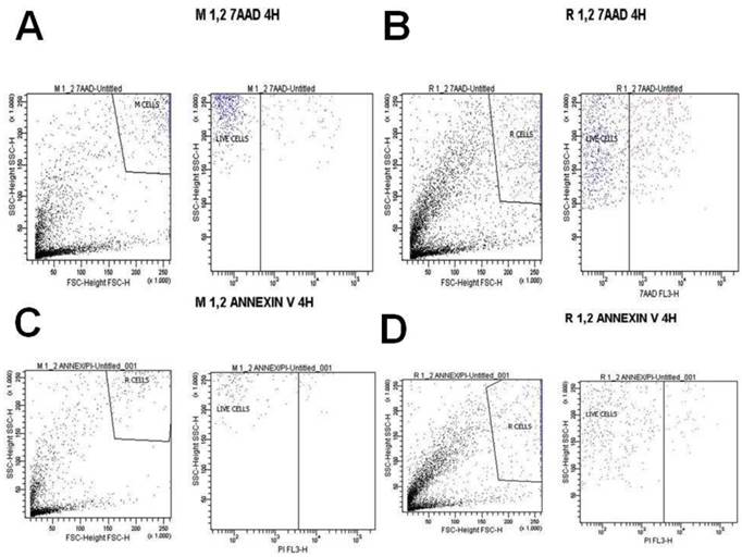 J Cancer Image