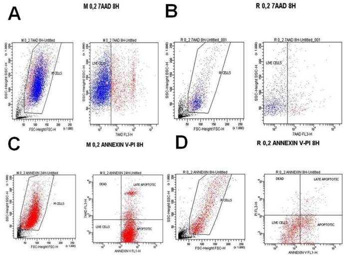 J Cancer Image