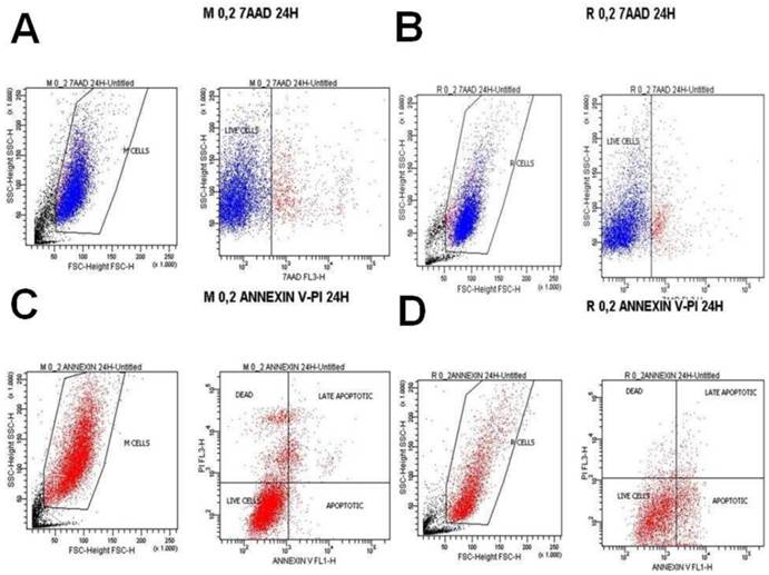 J Cancer Image