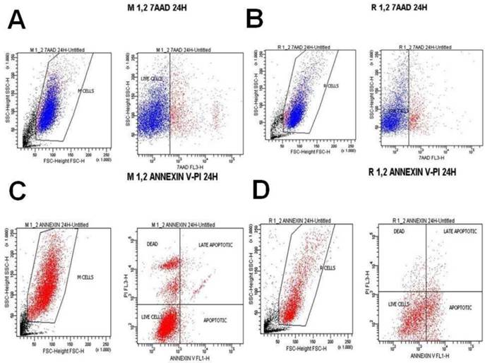 J Cancer Image