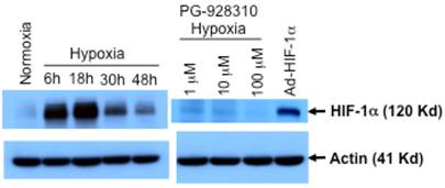 J Cancer Image