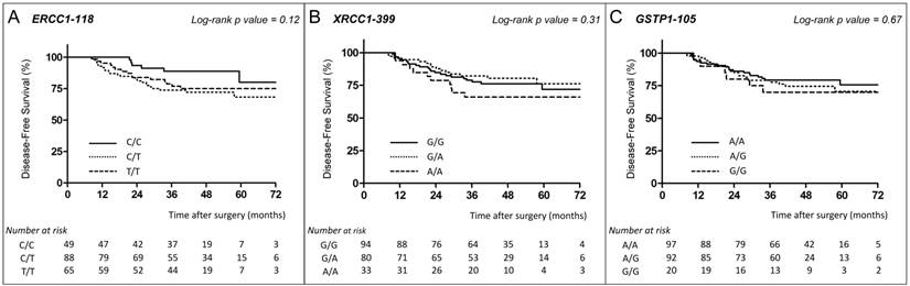 J Cancer Image