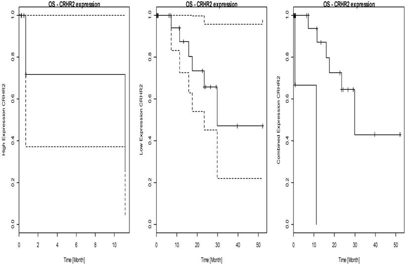 J Cancer Image