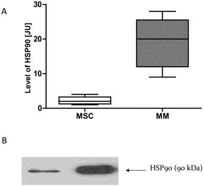 J Cancer Image