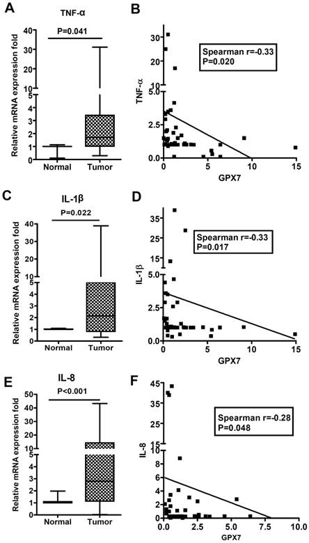 J Cancer Image