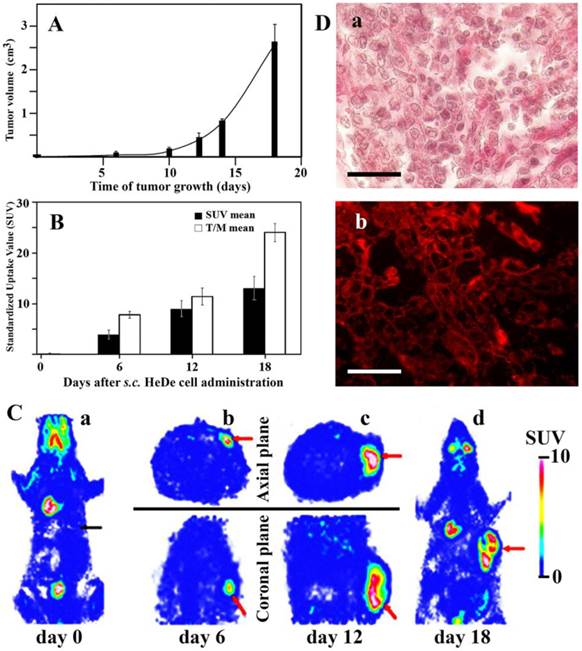 J Cancer Image