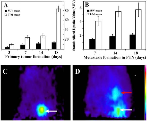 J Cancer Image