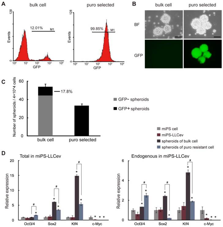 J Cancer Image