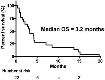 J Cancer Image