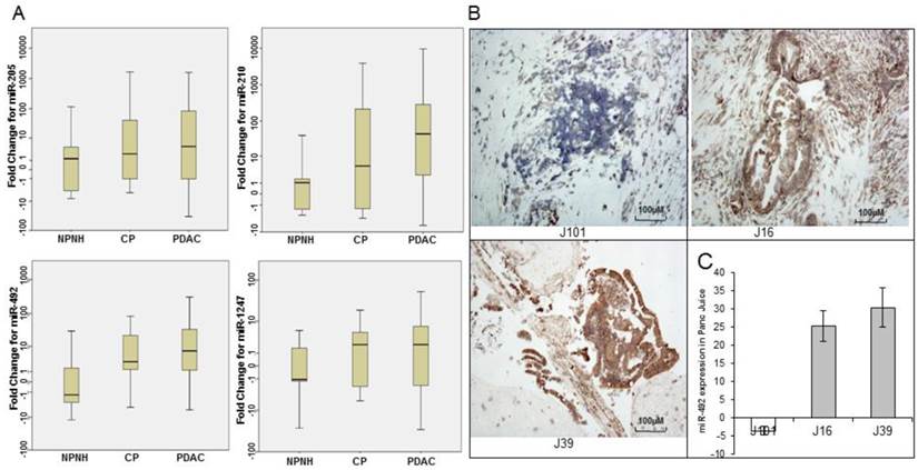 J Cancer Image