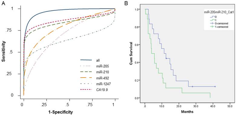 J Cancer Image