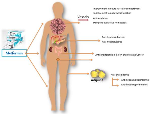 J Cancer Image