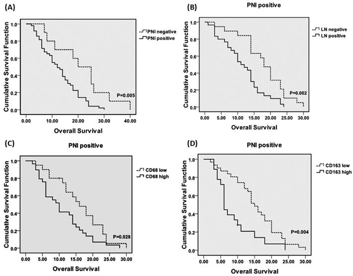 J Cancer Image