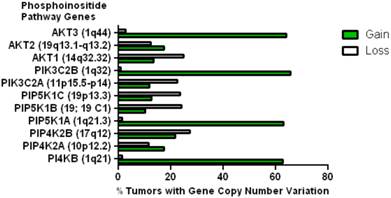 J Cancer Image