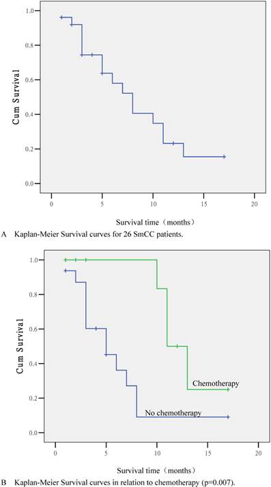 J Cancer Image