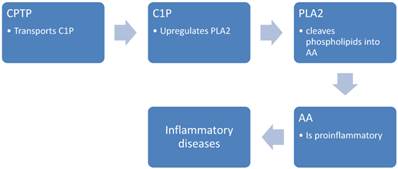 J Cancer Image