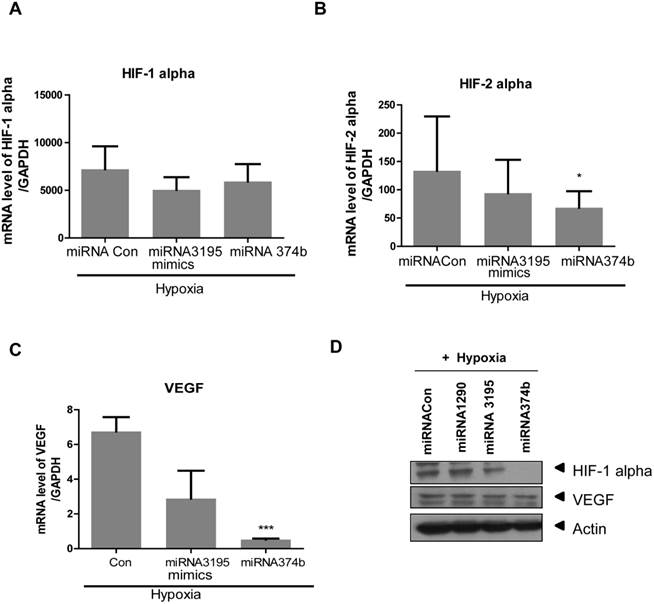 J Cancer Image