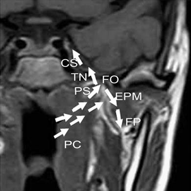 J Cancer Image