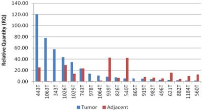 J Cancer Image