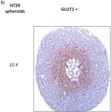 J Cancer Image