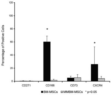 J Cancer Image