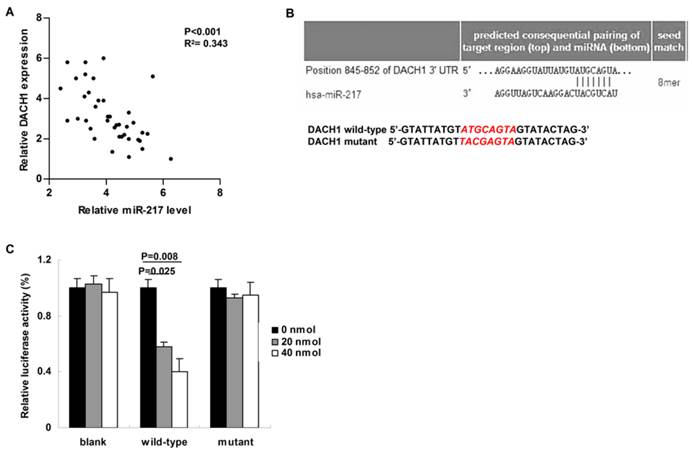 J Cancer Image