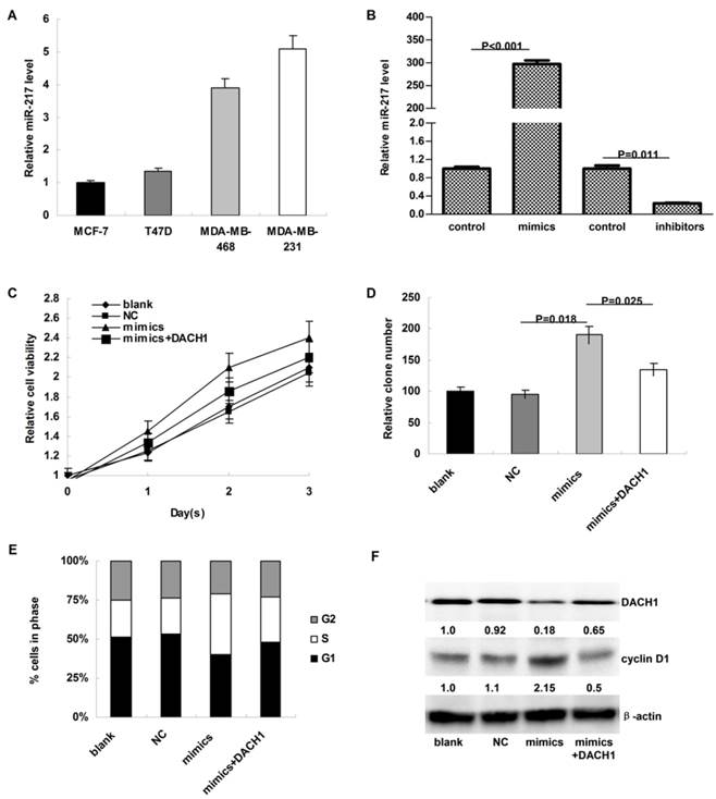 J Cancer Image