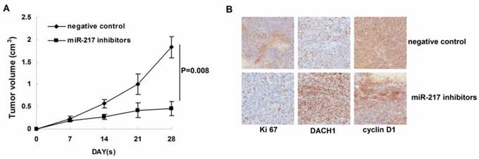 J Cancer Image