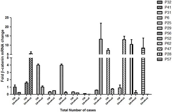 J Cancer Image