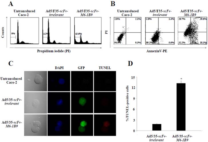 J Cancer Image