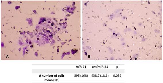 J Cancer Image