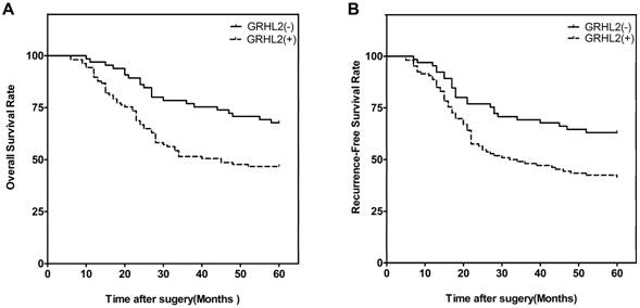 J Cancer Image