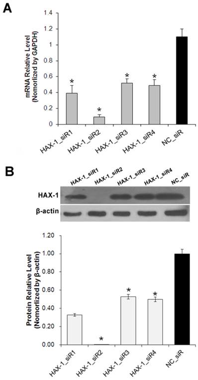 J Cancer Image