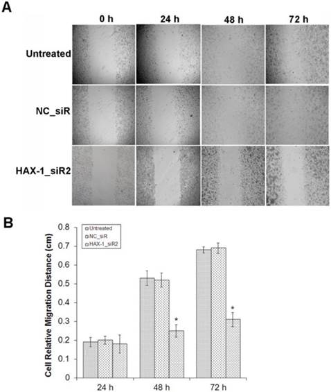 J Cancer Image