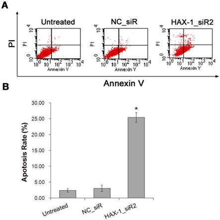 J Cancer Image