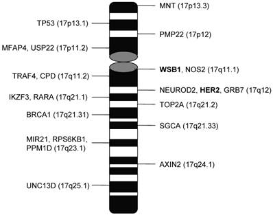 J Cancer Image