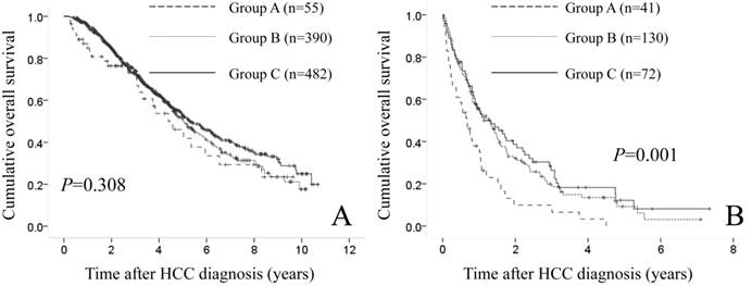 J Cancer Image