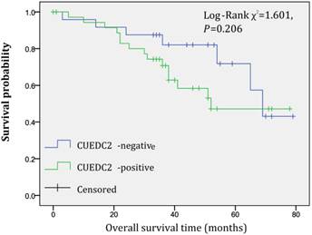 J Cancer Image