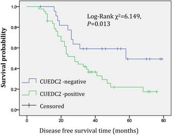 J Cancer Image