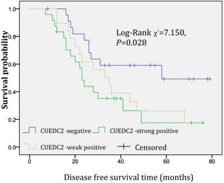 J Cancer Image