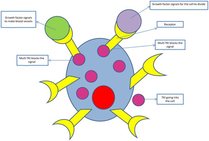 J Cancer Image