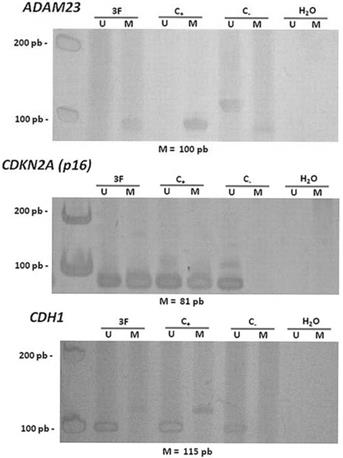 J Cancer Image