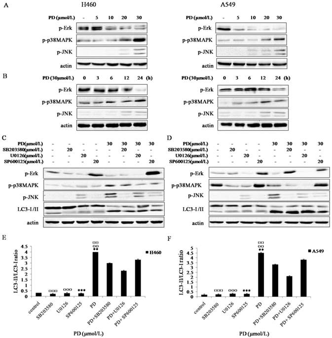 J Cancer Image